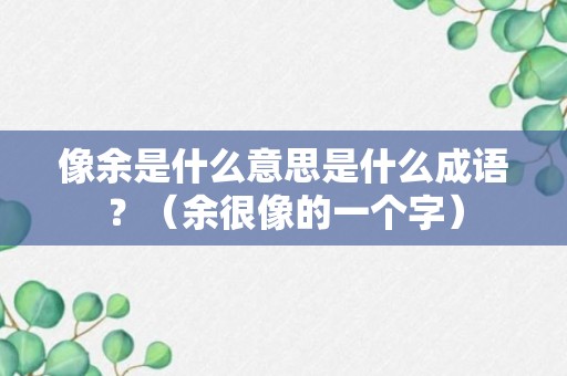 像余是什么意思是什么成语？（余很像的一个字）