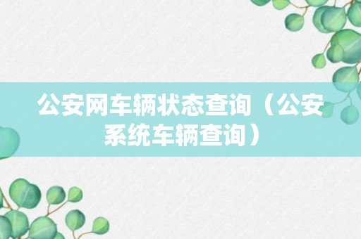 公安网车辆状态查询（公安系统车辆查询）