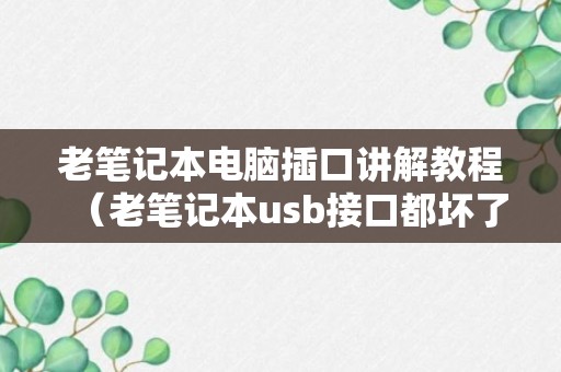 老笔记本电脑插口讲解教程（老笔记本usb接口都坏了怎么办）