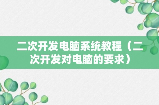 二次开发电脑系统教程（二次开发对电脑的要求）