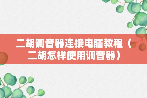 二胡调音器连接电脑教程（二胡怎样使用调音器）