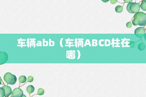 车辆abb（车辆ABCD柱在哪）