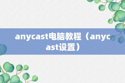 anycast电脑教程（anycast设置）