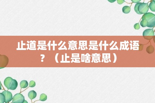 止道是什么意思是什么成语？（止是啥意思）