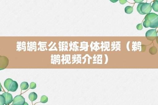 鹈鹕怎么锻炼身体视频（鹈鹕视频介绍）