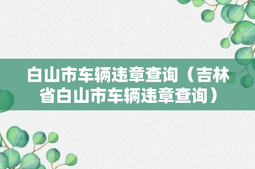 白山市车辆违章查询（吉林省白山市车辆违章查询）