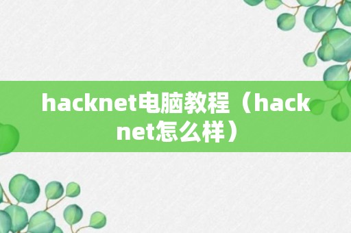 hacknet电脑教程（hacknet怎么样）