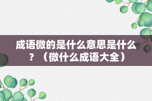 成语微的是什么意思是什么？（微什么成语大全）