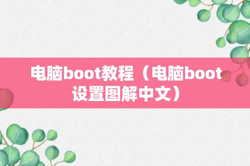 电脑boot教程（电脑boot设置图解中文）