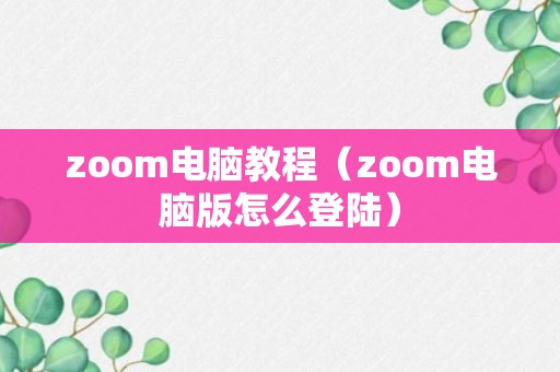 zoom电脑教程（zoom电脑版怎么登陆）