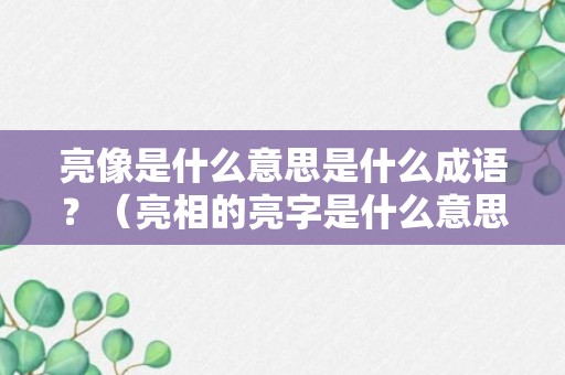 亮像是什么意思是什么成语？（亮相的亮字是什么意思）