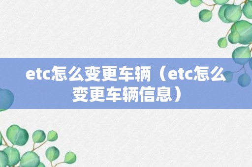 etc怎么变更车辆（etc怎么变更车辆信息）