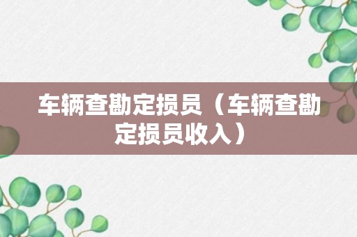 车辆查勘定损员（车辆查勘定损员收入）