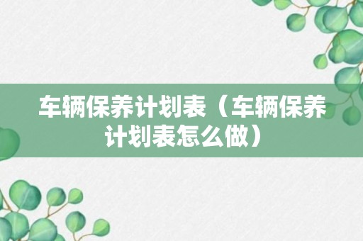 车辆保养计划表（车辆保养计划表怎么做）