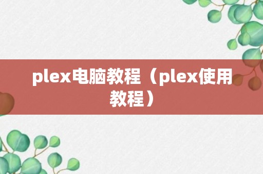 plex电脑教程（plex使用教程）