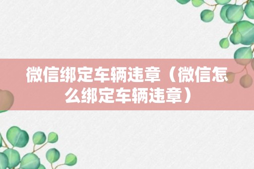 微信绑定车辆违章（微信怎么绑定车辆违章）