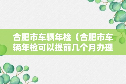 合肥市车辆年检（合肥市车辆年检可以提前几个月办理）