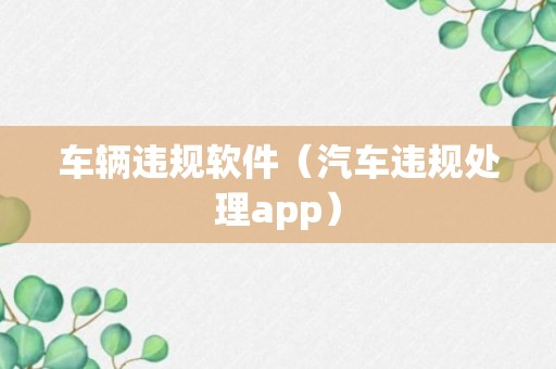 车辆违规软件（汽车违规处理app）