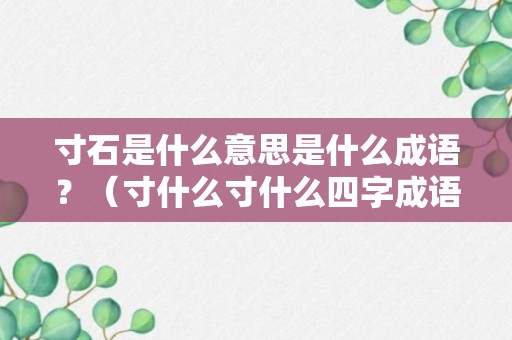 寸石是什么意思是什么成语？（寸什么寸什么四字成语）