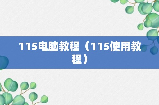 115电脑教程（115使用教程）