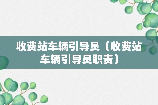 收费站车辆引导员（收费站车辆引导员职责）