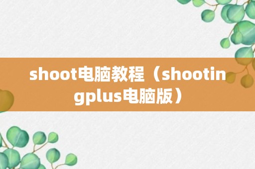 shoot电脑教程（shootingplus电脑版）