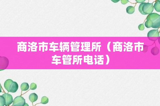 商洛市车辆管理所（商洛市车管所电话）