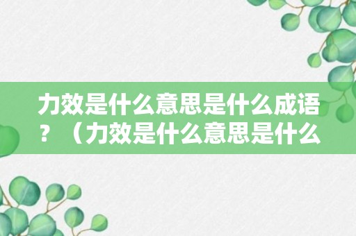 力效是什么意思是什么成语？（力效是什么意思是什么成语解释）