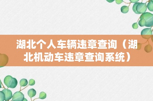 湖北个人车辆违章查询（湖北机动车违章查询系统）