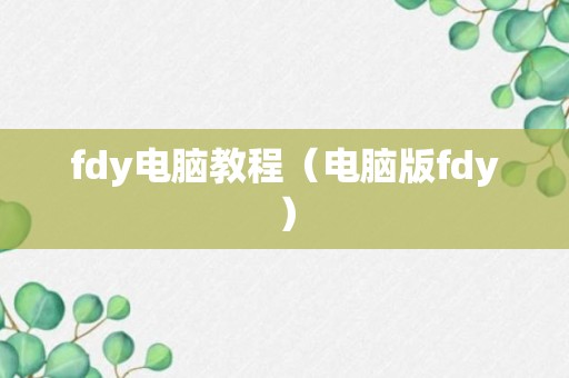 fdy电脑教程（电脑版fdy）