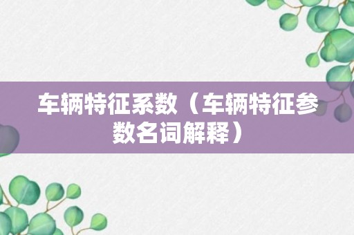 车辆特征系数（车辆特征参数名词解释）