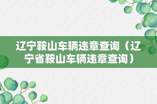 辽宁鞍山车辆违章查询（辽宁省鞍山车辆违章查询）