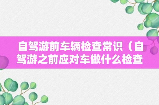 自驾游前车辆检查常识（自驾游之前应对车做什么检查）