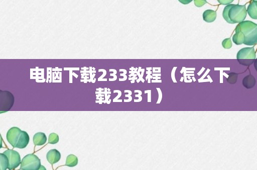 电脑下载233教程（怎么下载2331）