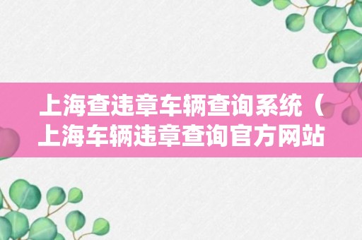 上海查违章车辆查询系统（上海车辆违章查询官方网站）