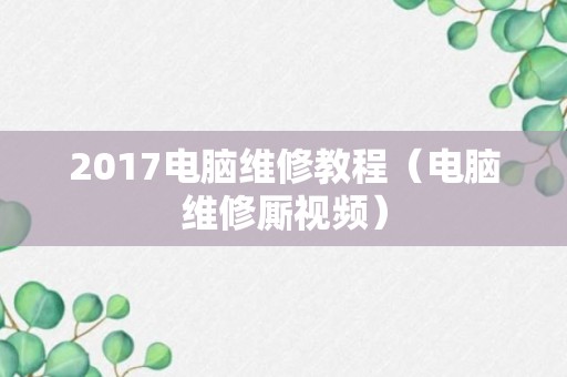 2017电脑维修教程（电脑维修厮视频）