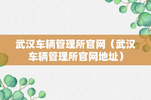 武汉车辆管理所官网（武汉车辆管理所官网地址）