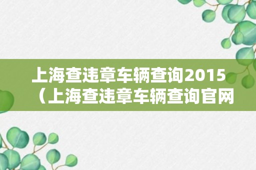 上海查违章车辆查询2015（上海查违章车辆查询官网）