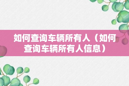 如何查询车辆所有人（如何查询车辆所有人信息）