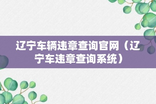 辽宁车辆违章查询官网（辽宁车违章查询系统）