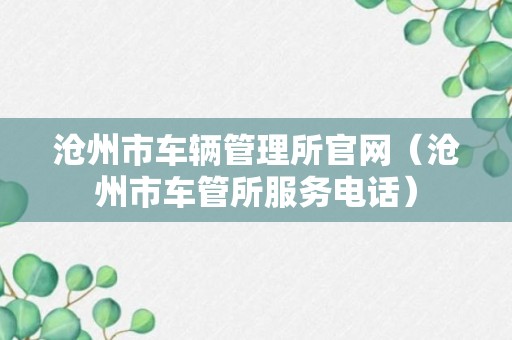 沧州市车辆管理所官网（沧州市车管所服务电话）