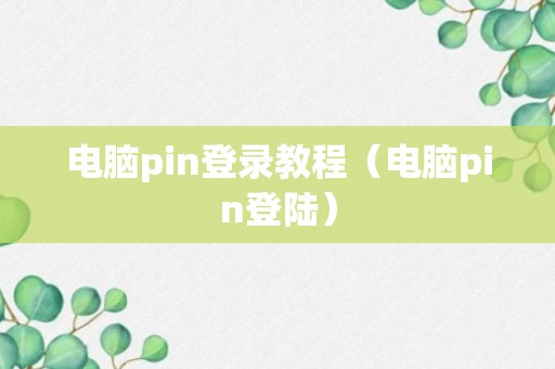 电脑pin登录教程（电脑pin登陆）