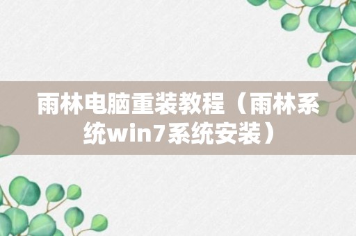 雨林电脑重装教程（雨林系统win7系统安装）