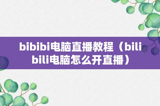 bibibi电脑直播教程（bilibili电脑怎么开直播）