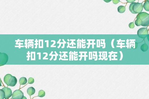 车辆扣12分还能开吗（车辆扣12分还能开吗现在）