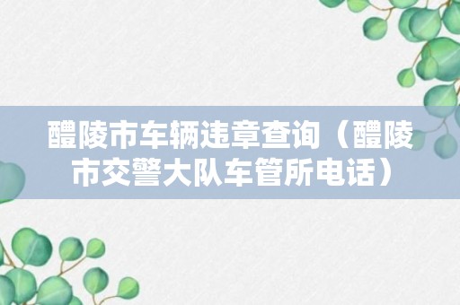 醴陵市车辆违章查询（醴陵市交警大队车管所电话）