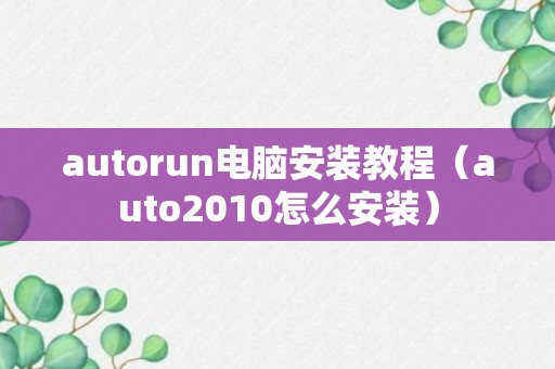 autorun电脑安装教程（auto2010怎么安装）