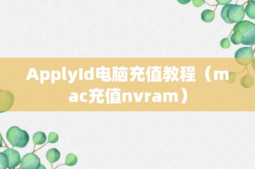 ApplyId电脑充值教程（mac充值nvram）