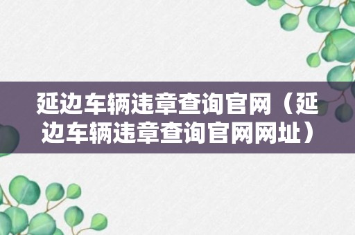 延边车辆违章查询官网（延边车辆违章查询官网网址）