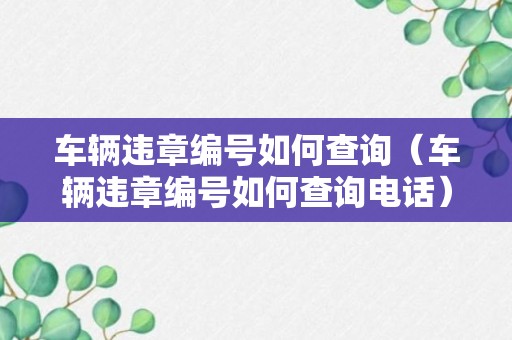 车辆违章编号如何查询（车辆违章编号如何查询电话）